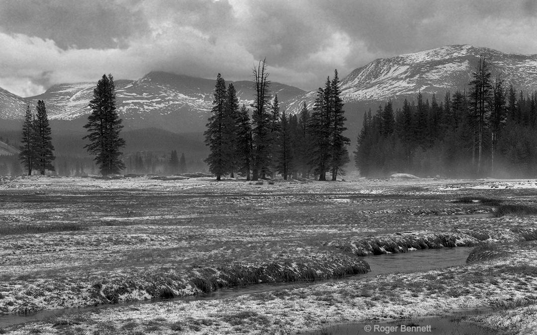 image-319621-Neg 648 Yos Toulumne Meadows in Winter Storm_CR.jpg